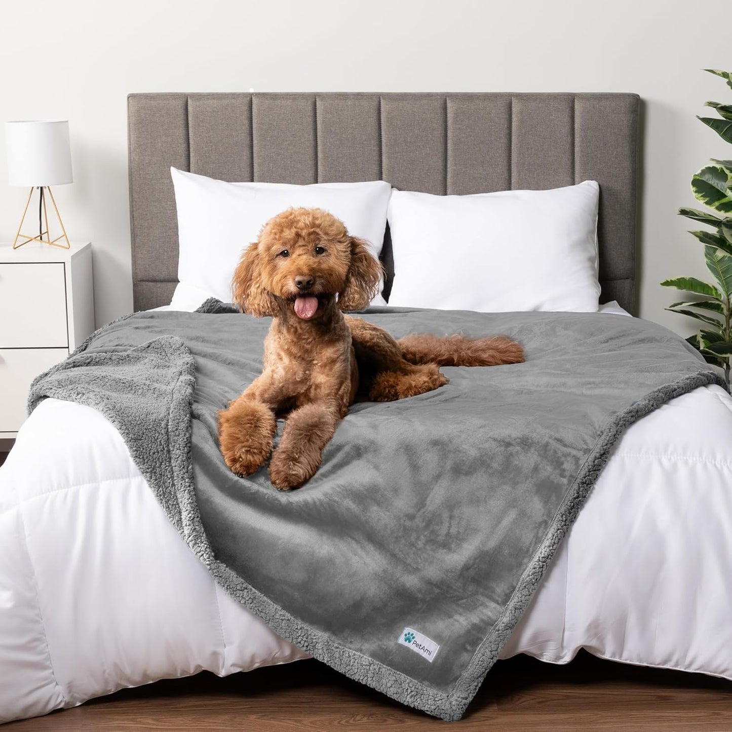 Waterproof Dog Blanket for Large Dog Pet, 90X90 Queen, Light Grey