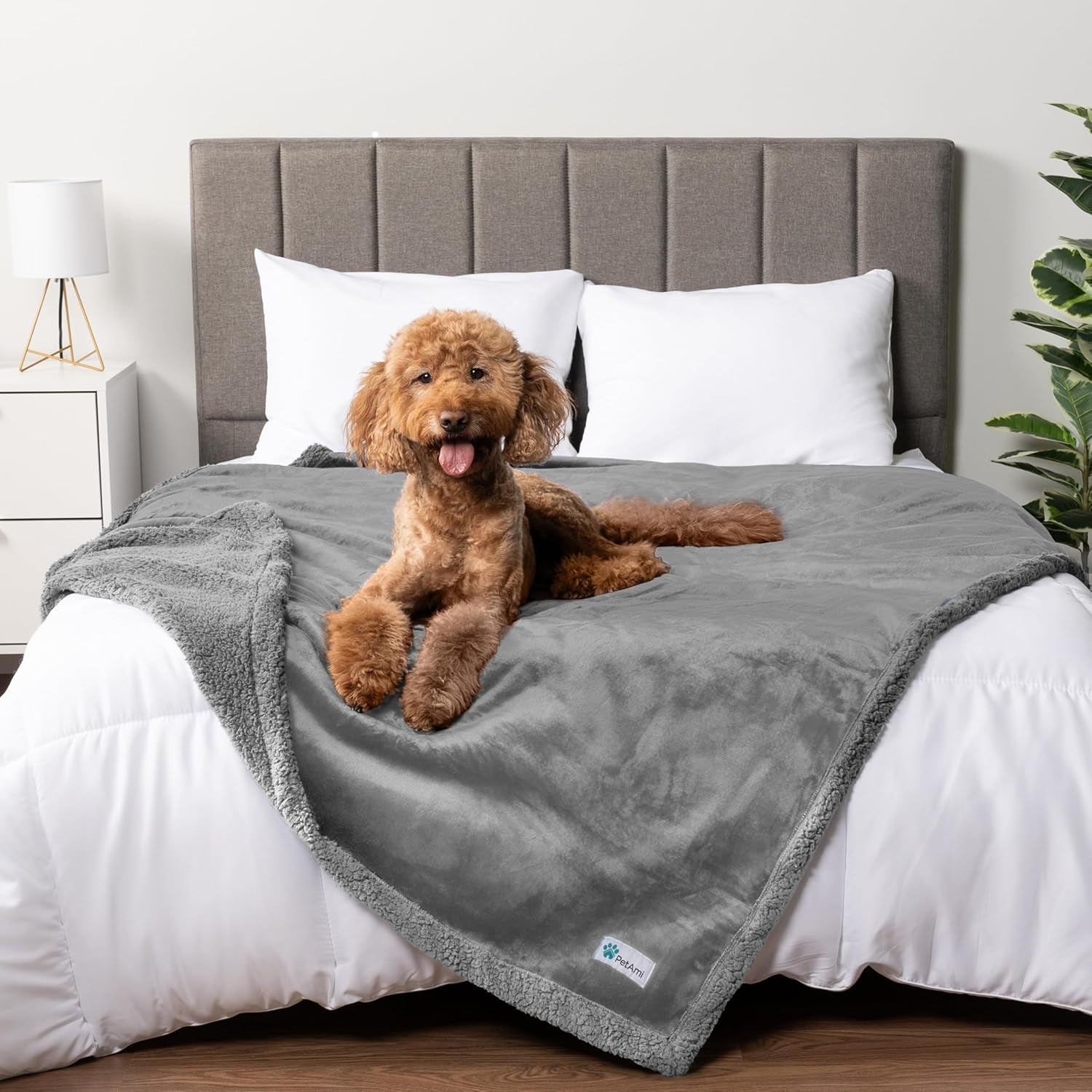 Waterproof Dog Blanket for Large Dog Pet, 90X90 Queen, Light Grey