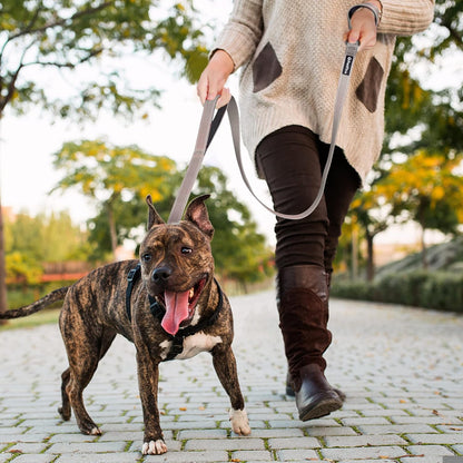 4FT Heavy Duty Dog Leash with Soft Padded Double Handle